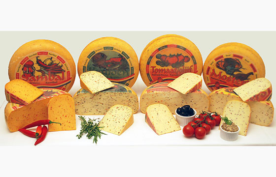 Gouda_Tomat_Sambal_Krauter_Senf-560